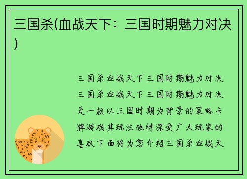 三国杀(血战天下：三国时期魅力对决)